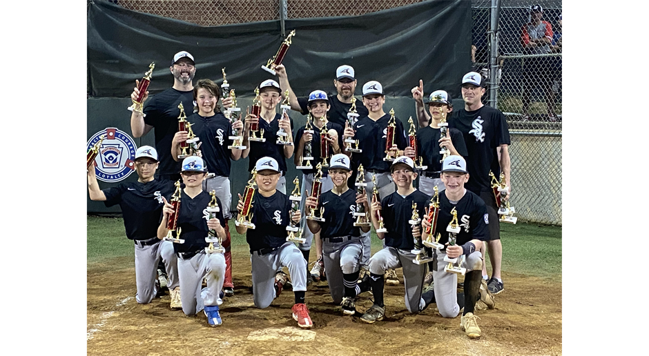 White Sox are Majors Town Tournament Champs